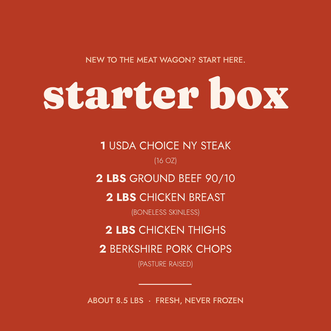 The Starter Box