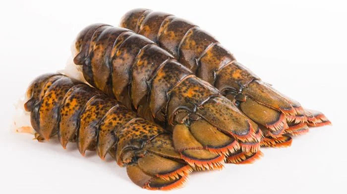 Maine Lobster Tails